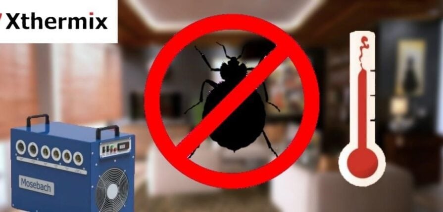 Bed bug extermination in Montreal